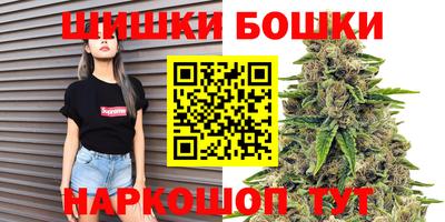 СК Дубна