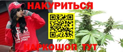 СК Дубна