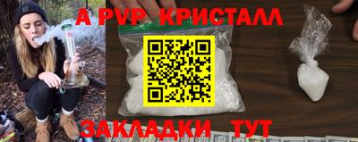 СК Дубна