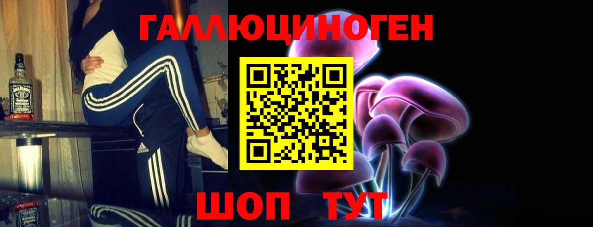 Псилоцибиновые грибы Psilocybine cubensis  Вход с VPN  Лыткарино 